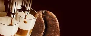les 4 saveurs primaires du café