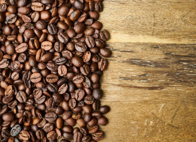 Les différentes espèces botaniques : Arabica ou robusta